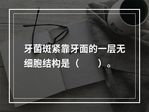 牙菌斑紧靠牙面的一层无细胞结构是（　　）。