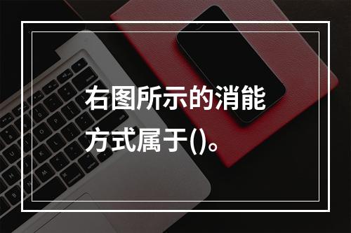 右图所示的消能方式属于()。