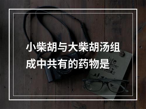 小柴胡与大柴胡汤组成中共有的药物是