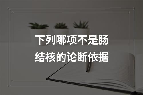 下列哪项不是肠结核的论断依据