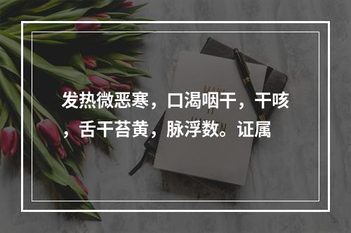 发热微恶寒，口渴咽干，干咳，舌干苔黄，脉浮数。证属