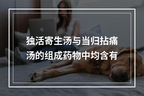 独活寄生汤与当归拈痛汤的组成药物中均含有