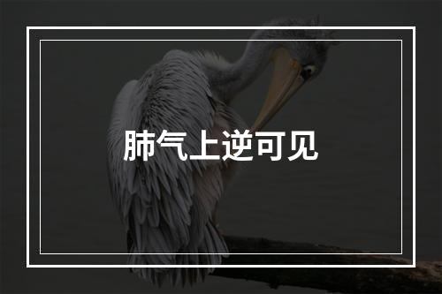 肺气上逆可见