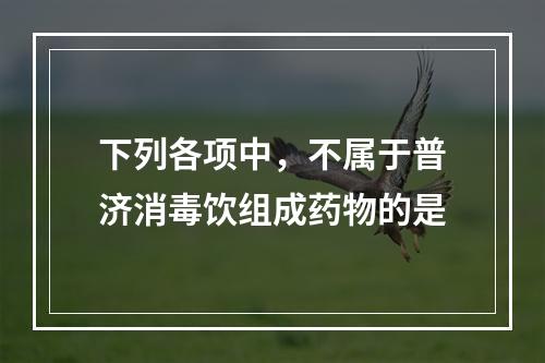 下列各项中，不属于普济消毒饮组成药物的是