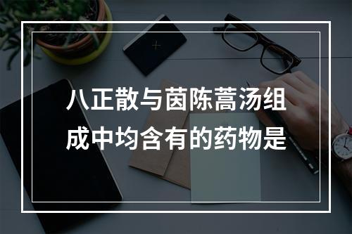 八正散与茵陈蒿汤组成中均含有的药物是