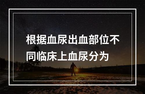 根据血尿出血部位不同临床上血尿分为