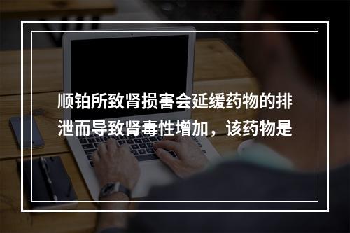 顺铂所致肾损害会延缓药物的排泄而导致肾毒性增加，该药物是