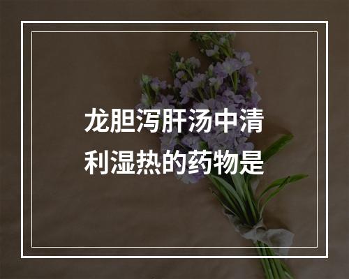 龙胆泻肝汤中清利湿热的药物是