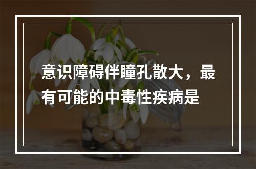 意识障碍伴瞳孔散大，最有可能的中毒性疾病是