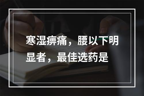 寒湿痹痛，腰以下明显者，最佳选药是