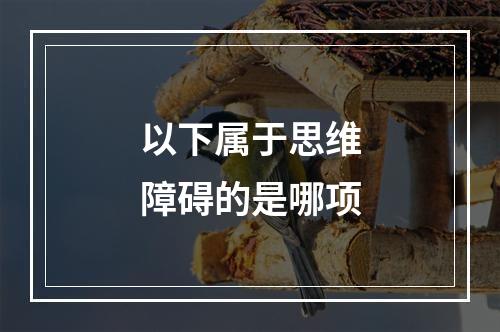 以下属于思维障碍的是哪项