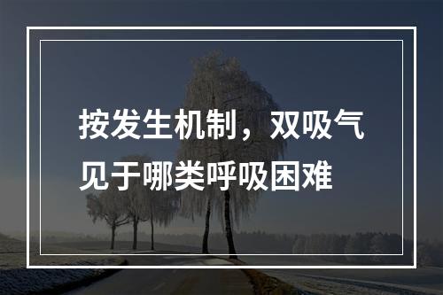 按发生机制，双吸气见于哪类呼吸困难