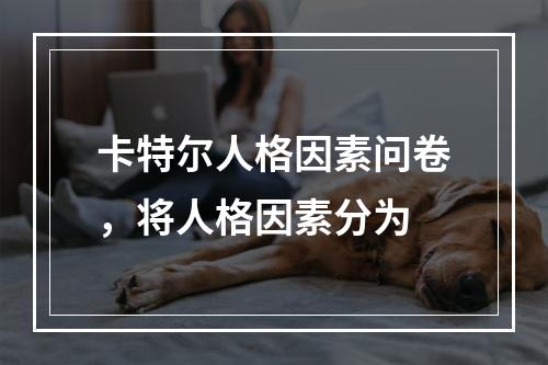 卡特尔人格因素问卷，将人格因素分为