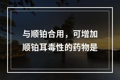 与顺铂合用，可增加顺铂耳毒性的药物是