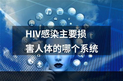 HIV感染主要损害人体的哪个系统