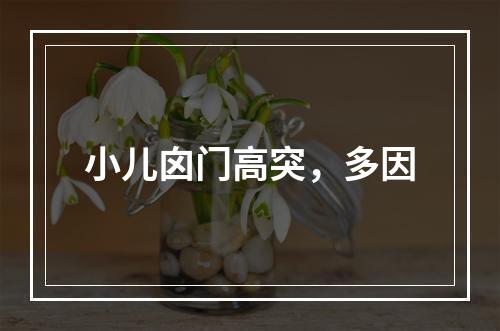 小儿囟门高突，多因