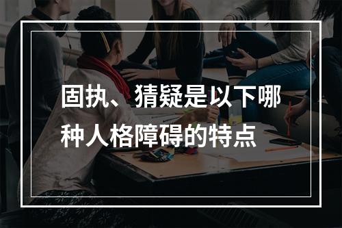 固执、猜疑是以下哪种人格障碍的特点