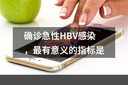 确诊急性HBV感染，最有意义的指标是