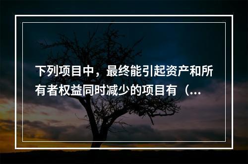 下列项目中，最终能引起资产和所有者权益同时减少的项目有（　）