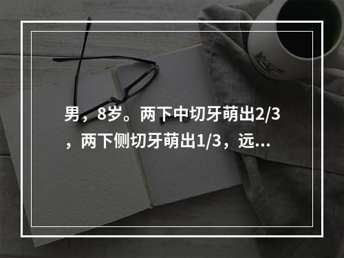 男，8岁。两下中切牙萌出2/3，两下侧切牙萌出1/3，远中面