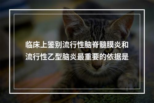 临床上鉴别流行性脑脊髓膜炎和流行性乙型脑炎最重要的依据是