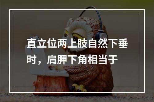 直立位两上肢自然下垂时，肩胛下角相当于