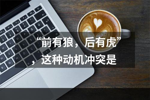 “前有狼，后有虎”，这种动机冲突是