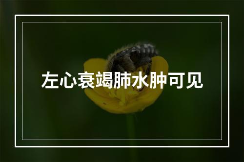 左心衰竭肺水肿可见