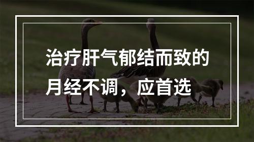 治疗肝气郁结而致的月经不调，应首选