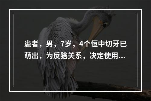 患者，男，7岁，4个恒中切牙已萌出，为反猞关系，决定使用上颌