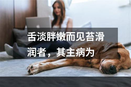 舌淡胖嫩而见苔滑润者，其主病为