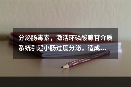 分泌肠毒素，激活环磷酸腺苷介质系统引起小肠过度分泌，造成剧烈