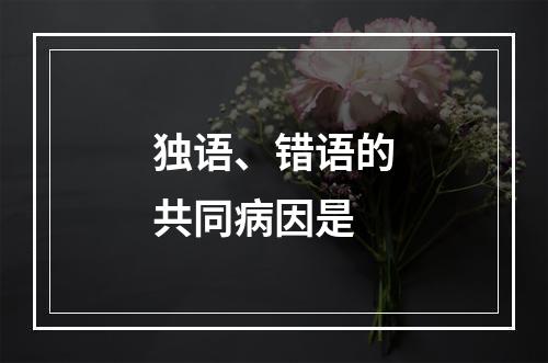 独语、错语的共同病因是