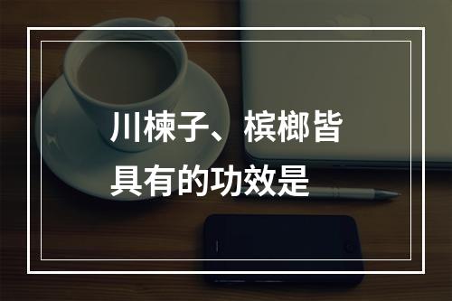 川楝子、槟榔皆具有的功效是