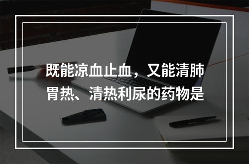 既能凉血止血，又能清肺胃热、清热利尿的药物是