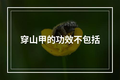 穿山甲的功效不包括