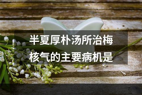 半夏厚朴汤所治梅核气的主要病机是