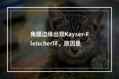 角膜边缘出现Kayser-Fleischer环，原因是