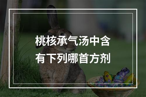 桃核承气汤中含有下列哪首方剂