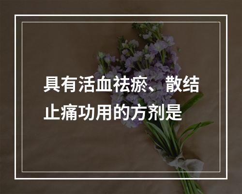 具有活血祛瘀、散结止痛功用的方剂是