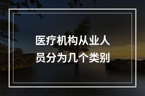 医疗机构从业人员分为几个类别