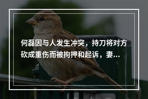 何磊因与人发生冲突，持刀将对方砍成重伤而被拘押和起诉，妻子两