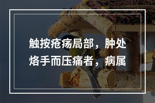 触按疮疡局部，肿处烙手而压痛者，病属