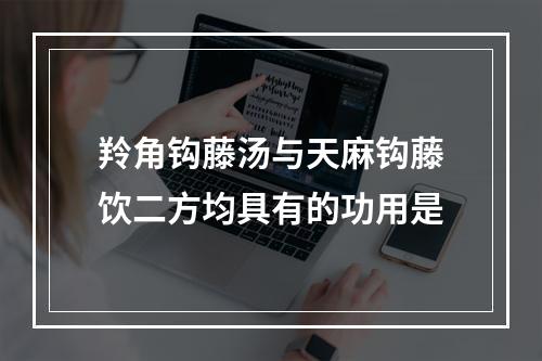 羚角钩藤汤与天麻钩藤饮二方均具有的功用是