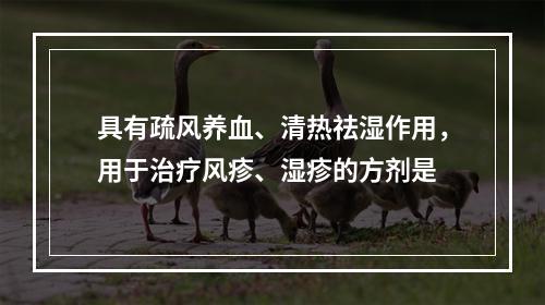 具有疏风养血、清热祛湿作用，用于治疗风疹、湿疹的方剂是