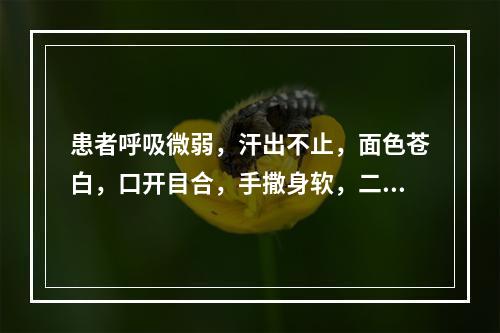 患者呼吸微弱，汗出不止，面色苍白，口开目合，手撒身软，二便失