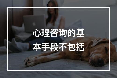 心理咨询的基本手段不包括