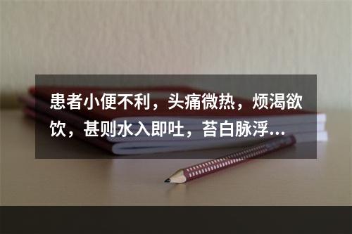 患者小便不利，头痛微热，烦渴欲饮，甚则水入即吐，苔白脉浮，治