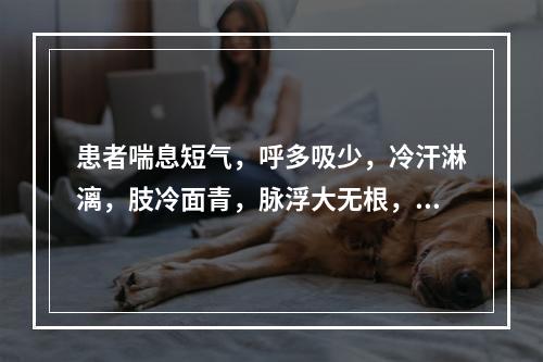 患者喘息短气，呼多吸少，冷汗淋漓，肢冷面青，脉浮大无根，宜诊