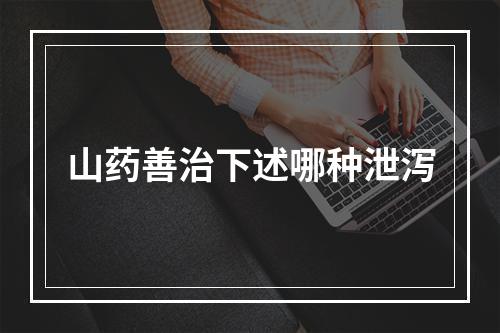 山药善治下述哪种泄泻